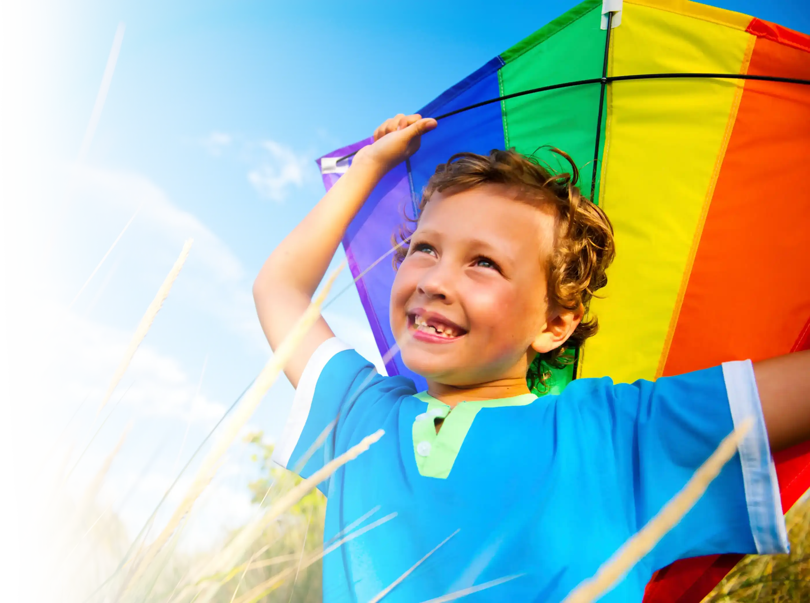 Flying Kite