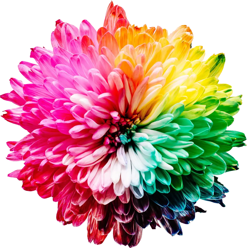 Multicolour Flower